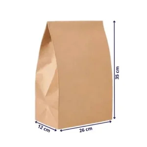 Saco Kraft Delivery Liso G 12x26x35cm 100Un JA Paper