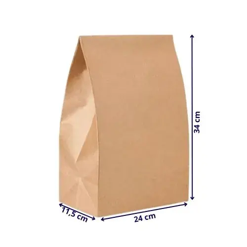 Saco Kraft Delivery Liso M (11,5x24x34 cm) - 100 Unidades